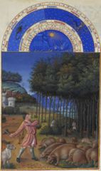 Les Très Riches Heures du duc de Berry - Novembre