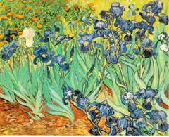 Les Iris de Vincent Van Gogh