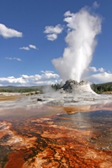 Parc national de Yellowstone