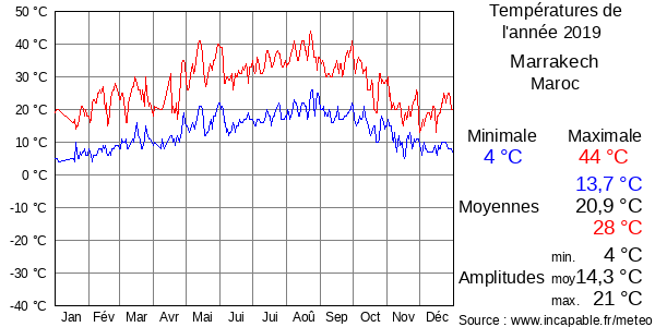Températures de l'année 2019 pour Marrakech, Maroc